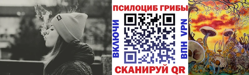 Галлюциногенные грибы Psilocybine cubensis  Власиха 